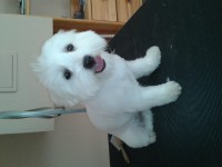 /album/fenykepgaleria/a2014-07-07-17-13-26-jpg1/